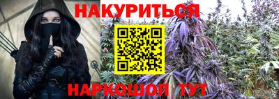 шишки Берёзовский