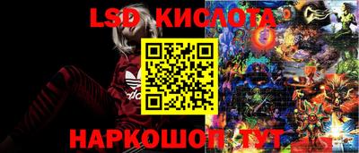 дмт Беслан